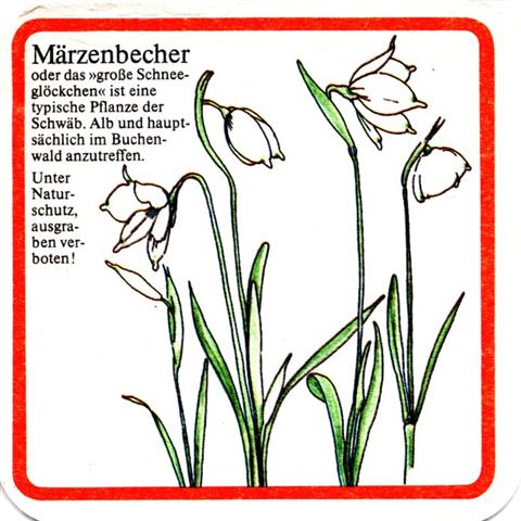 bad urach rt-bw olpp blumen 5b (quad180-mrzenbecher)